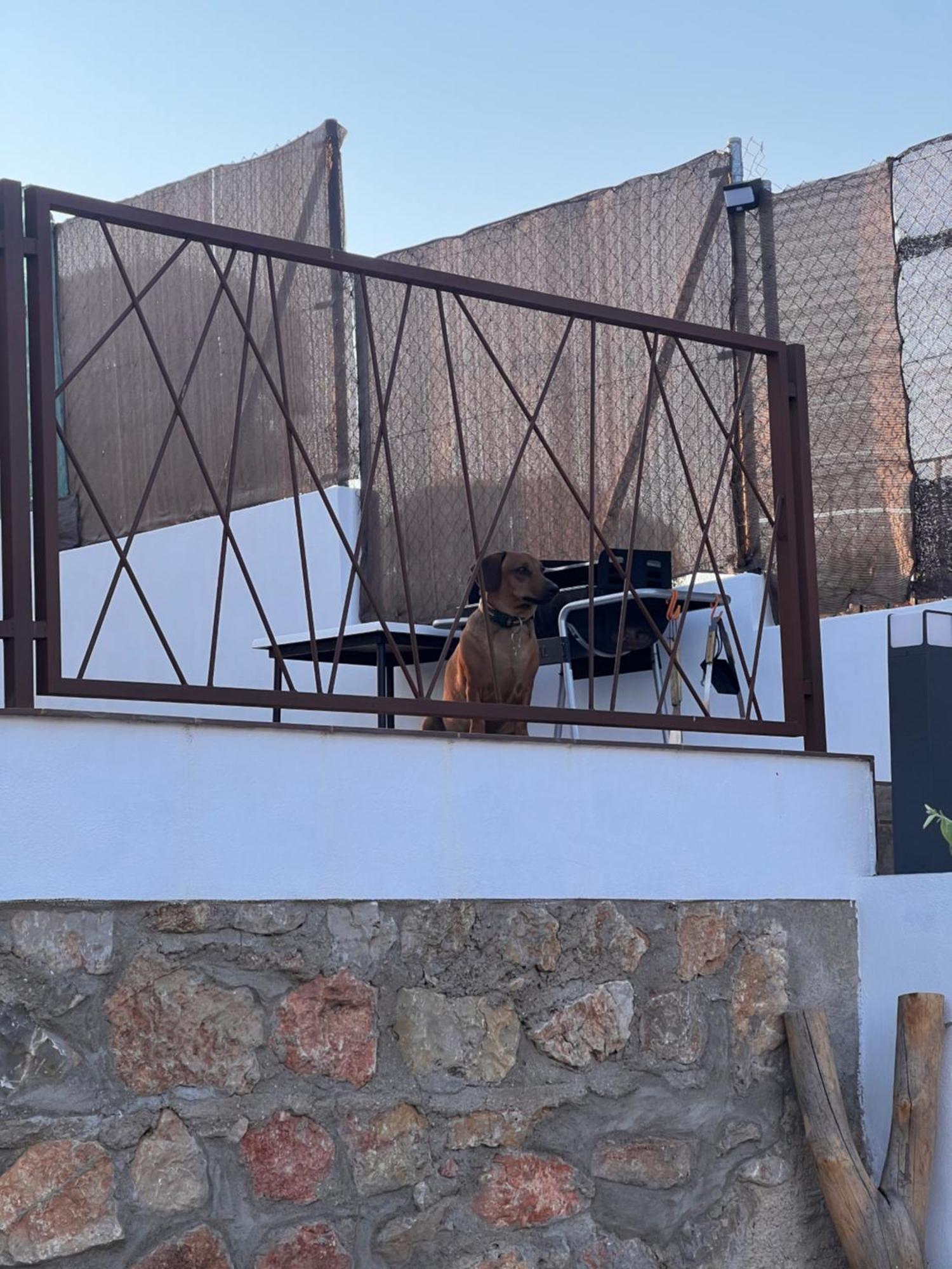 Casita Rural La Cometa Ruidera Luaran gambar
